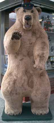 Alaskan Brown Bear