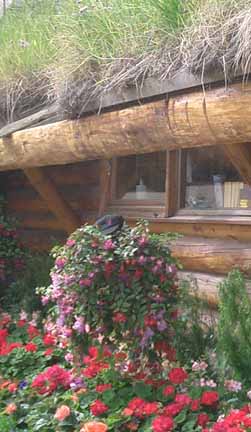 Cabins made of Wood