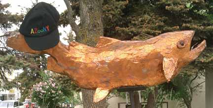 Chinhook Salmon
