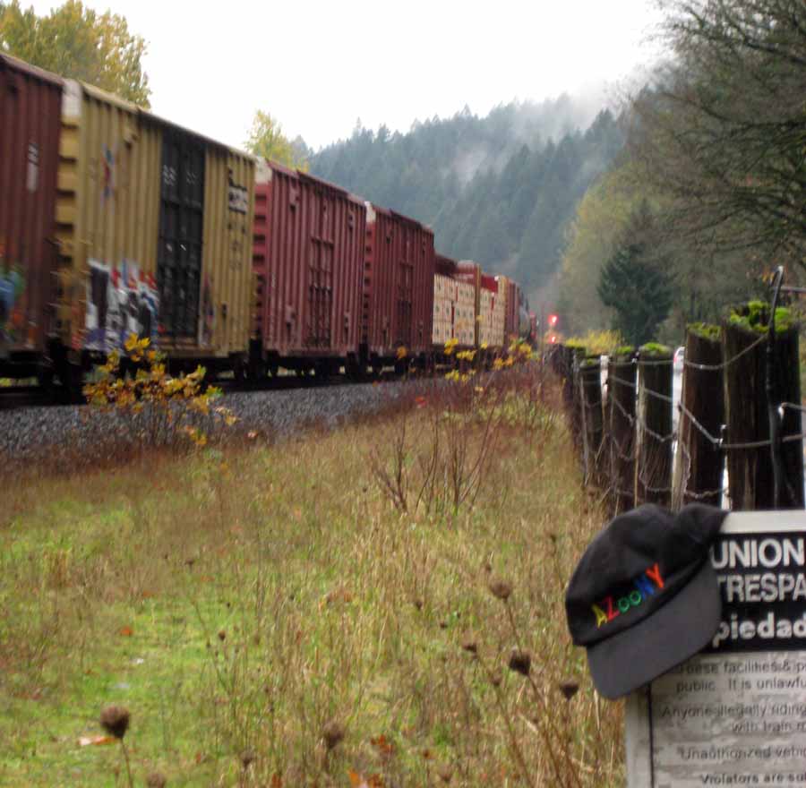 Columbia River - Union Pacific Railroad Tracks