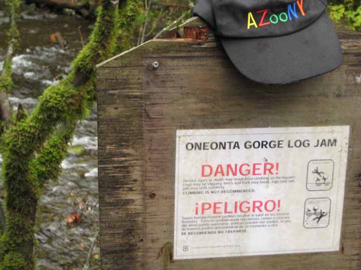 Danger!  Log Jam!