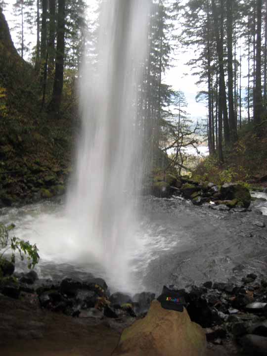 behind pony tail falls