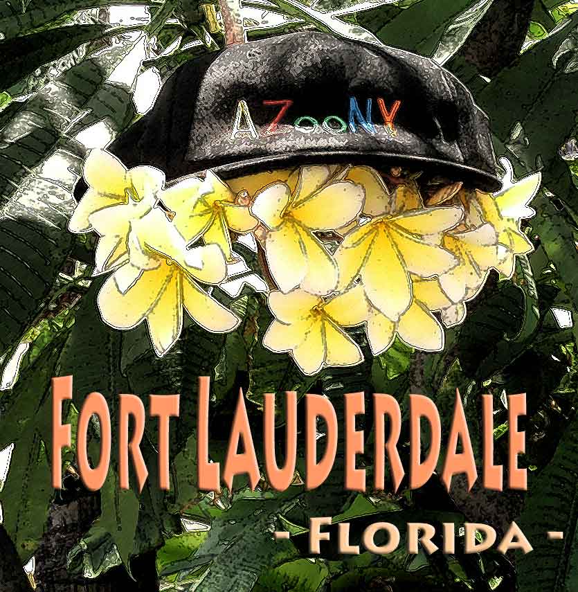 Fort Lauderdale Florida Beach Tale