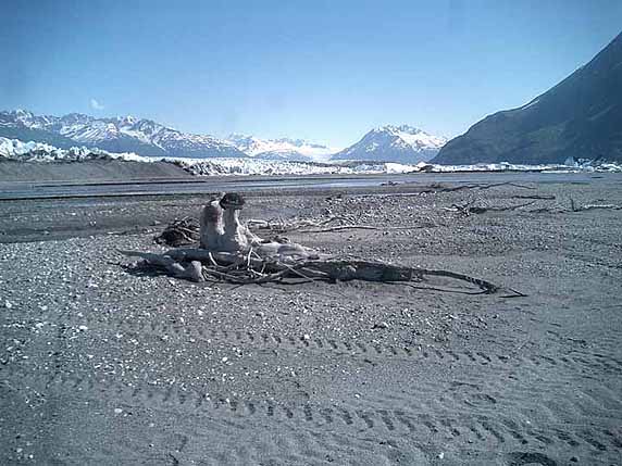 River Flood Plain