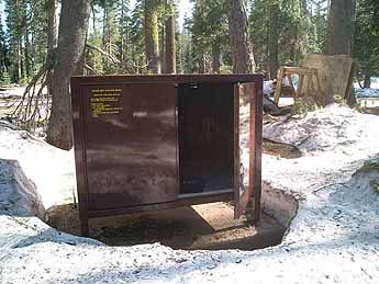 Bear Box