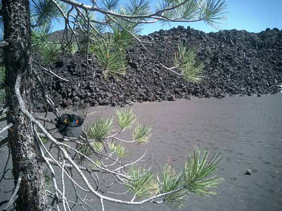 Volcanic Rock Pile