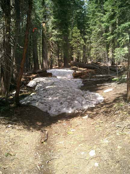 Snow Covered Trail