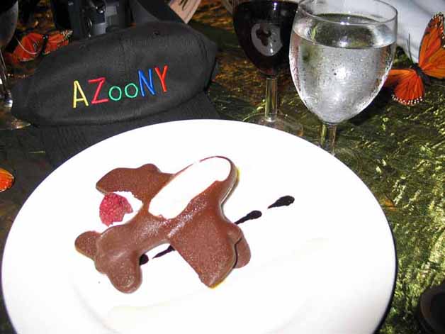 chocolate airplane desert