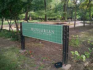 Hungarian International