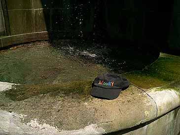 Italian Fountain