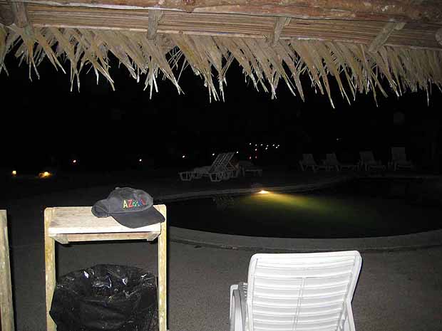 pool at night, grass roof