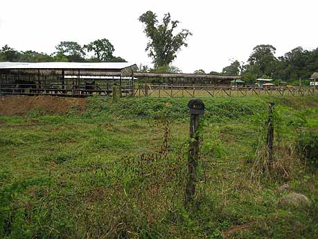 horse barn