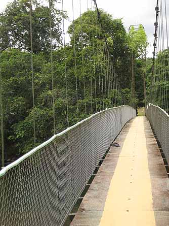 cable bridge, pedestrian