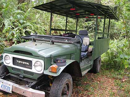 exporing jeep, truck, vehicle, green