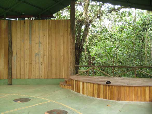 rain forest performane stage