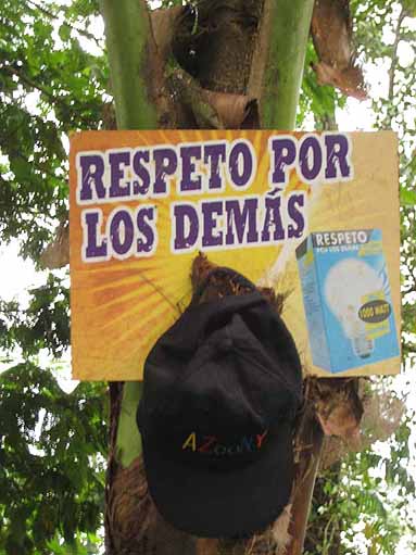 Respect for all