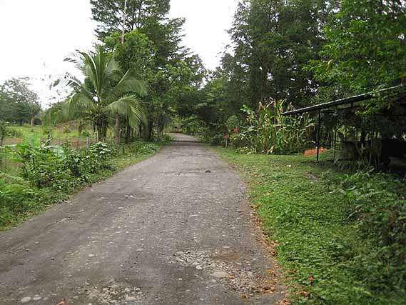 Costa Rica Road, resort
