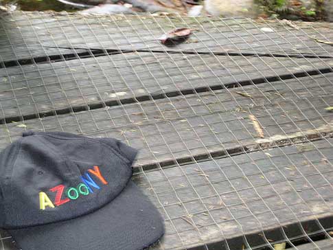 rain forest footing aid