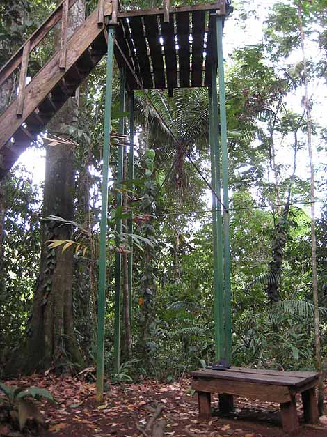 canopy access, platform