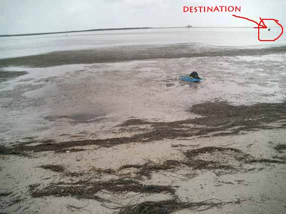 Low Tide Sand