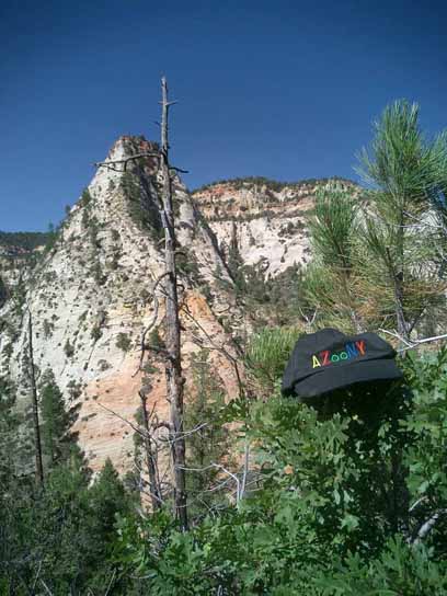 Zion East Rim Hiking Trail