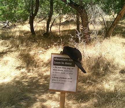 Tigers and Bears Warning