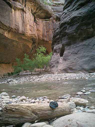 Narrows Hiking in Virgin River