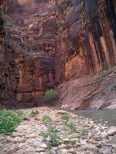 Narrow Slot Canyon